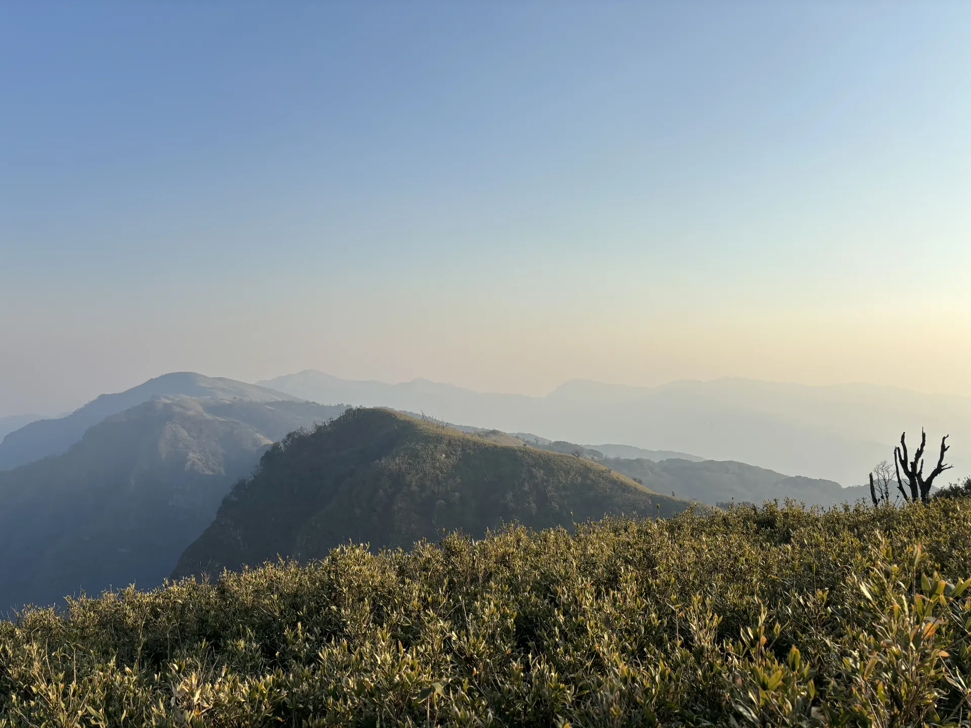 Misty Nagaland trail at dawn