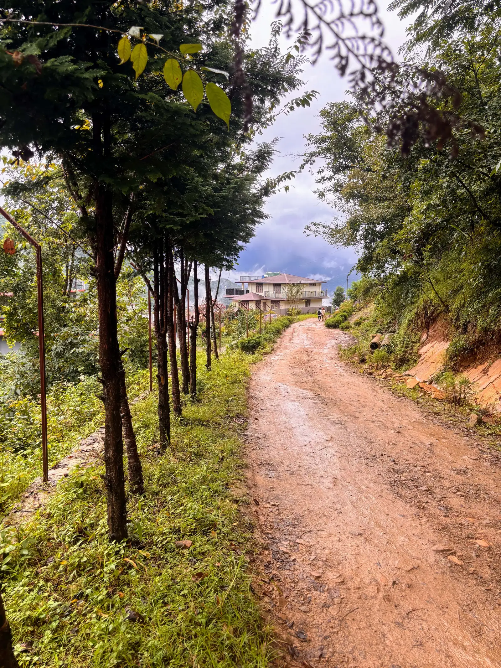 Ultra Trail Kohima trail photo 1-1
