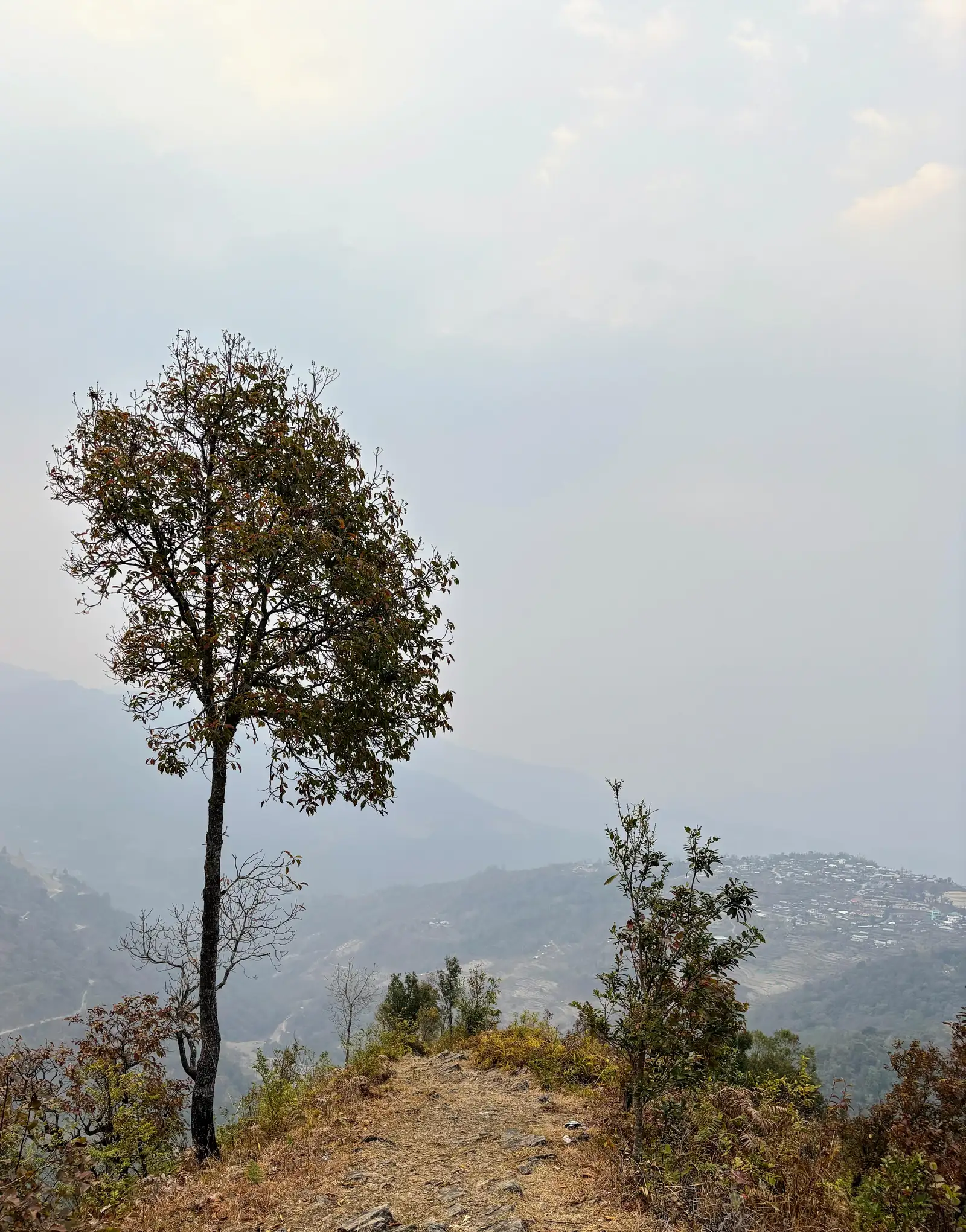 Ultra Trail Kohima trail photo 1-2