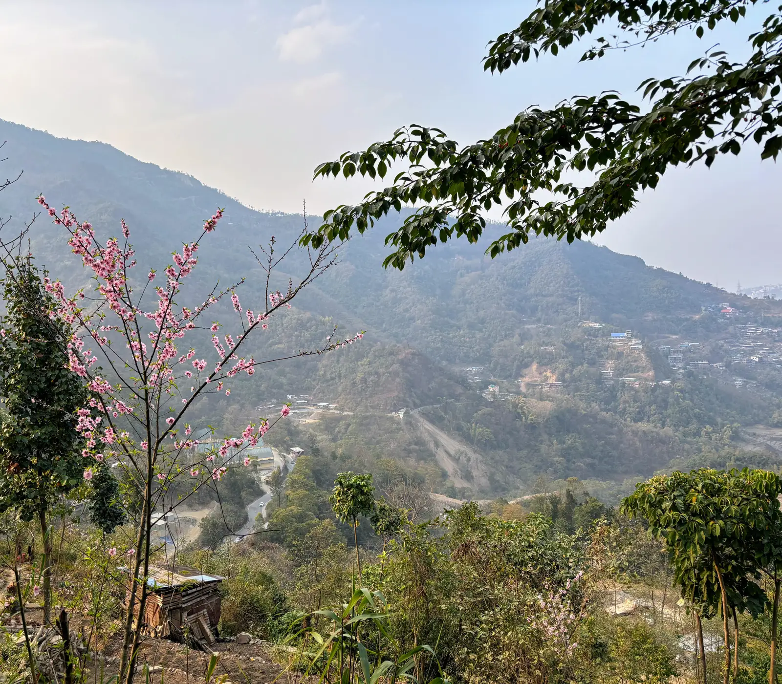 Ultra Trail Kohima trail photo 1-4