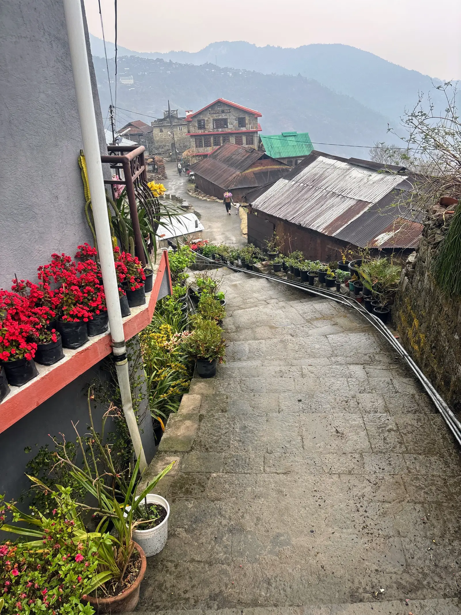 Ultra Trail Kohima trail