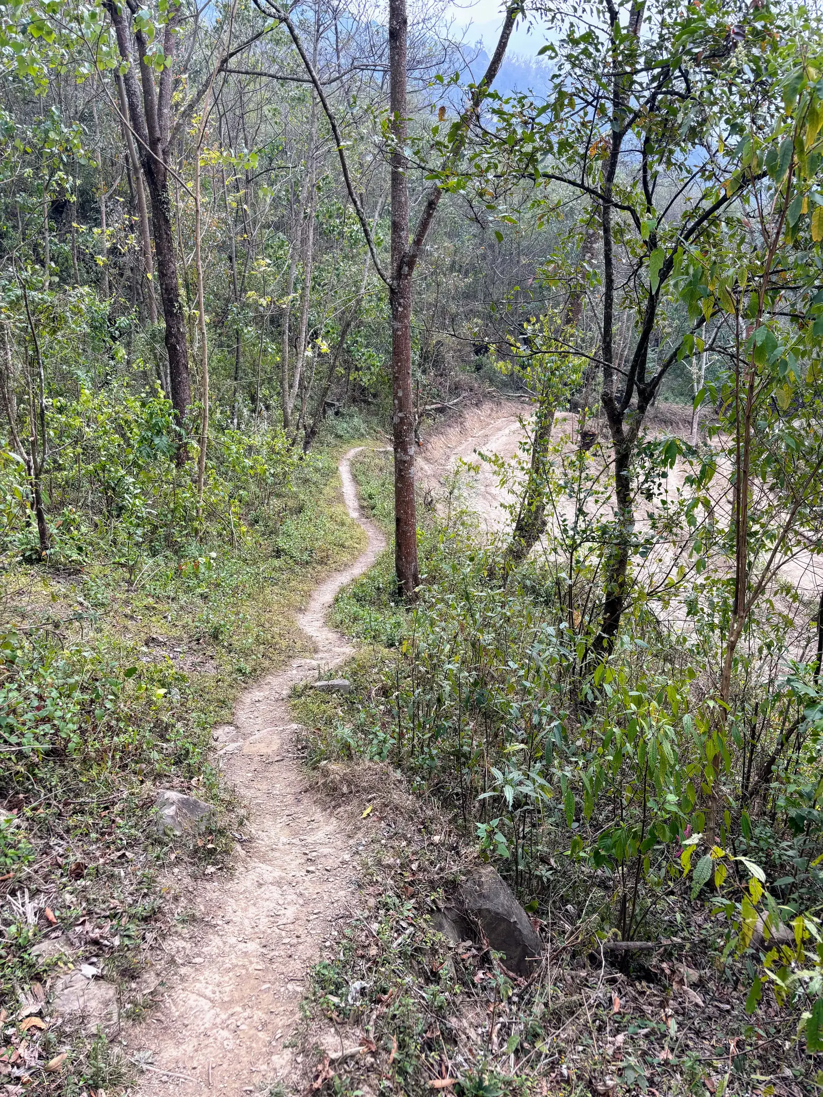 Ultra Trail Kohima trail