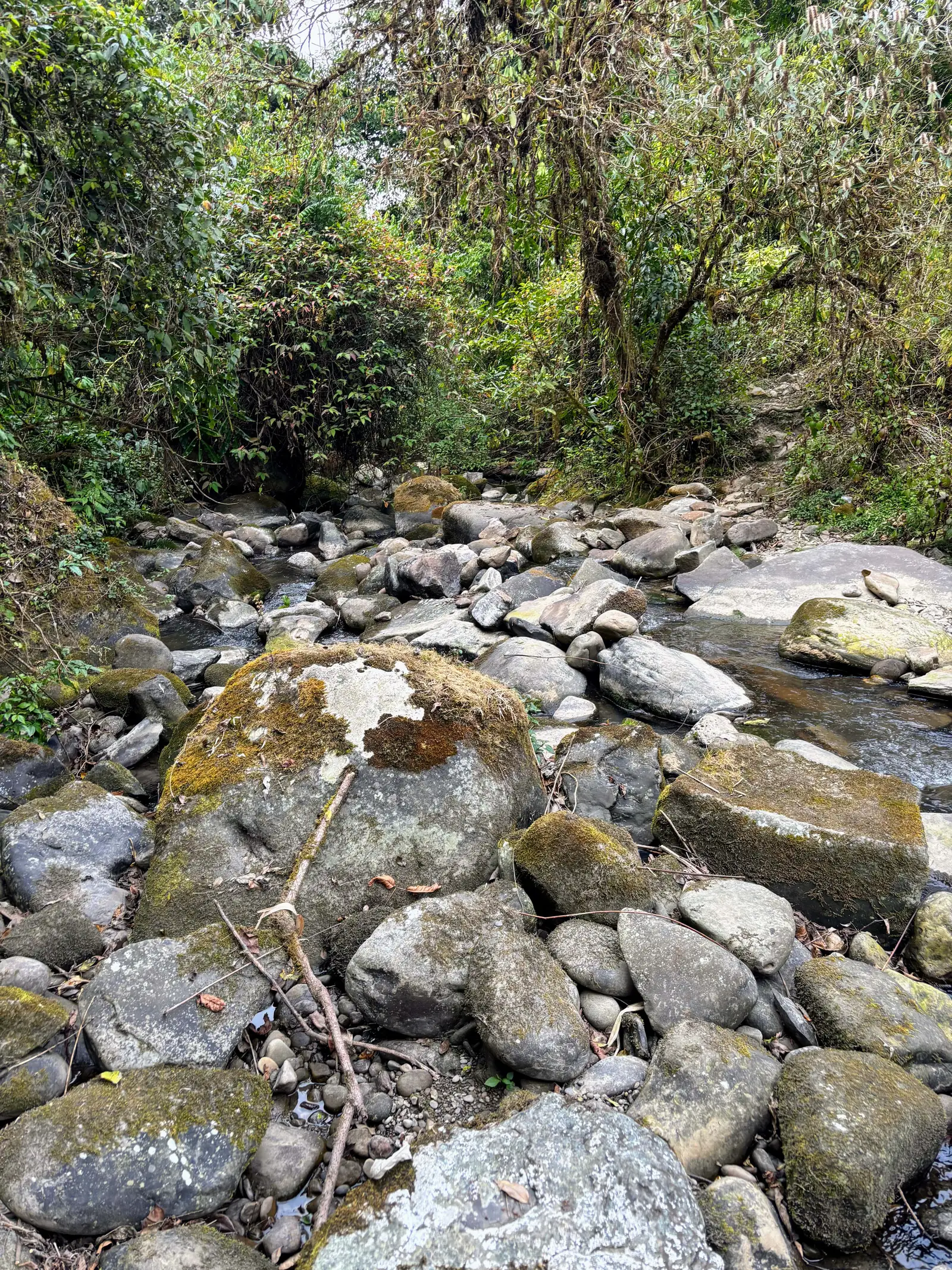 Ultra Trail Kohima trail photo 3-4