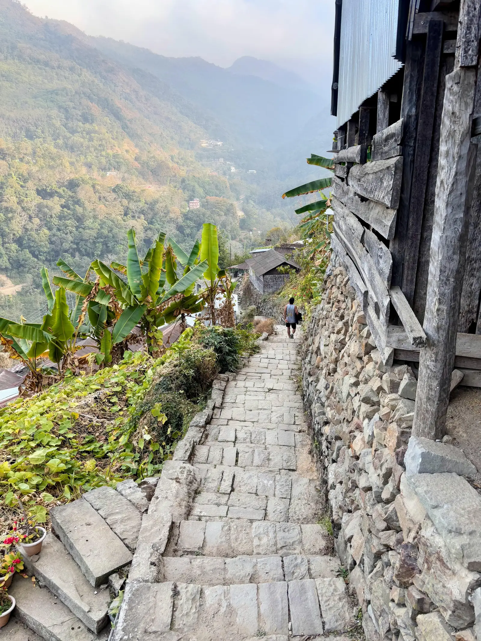Ultra Trail Kohima trail