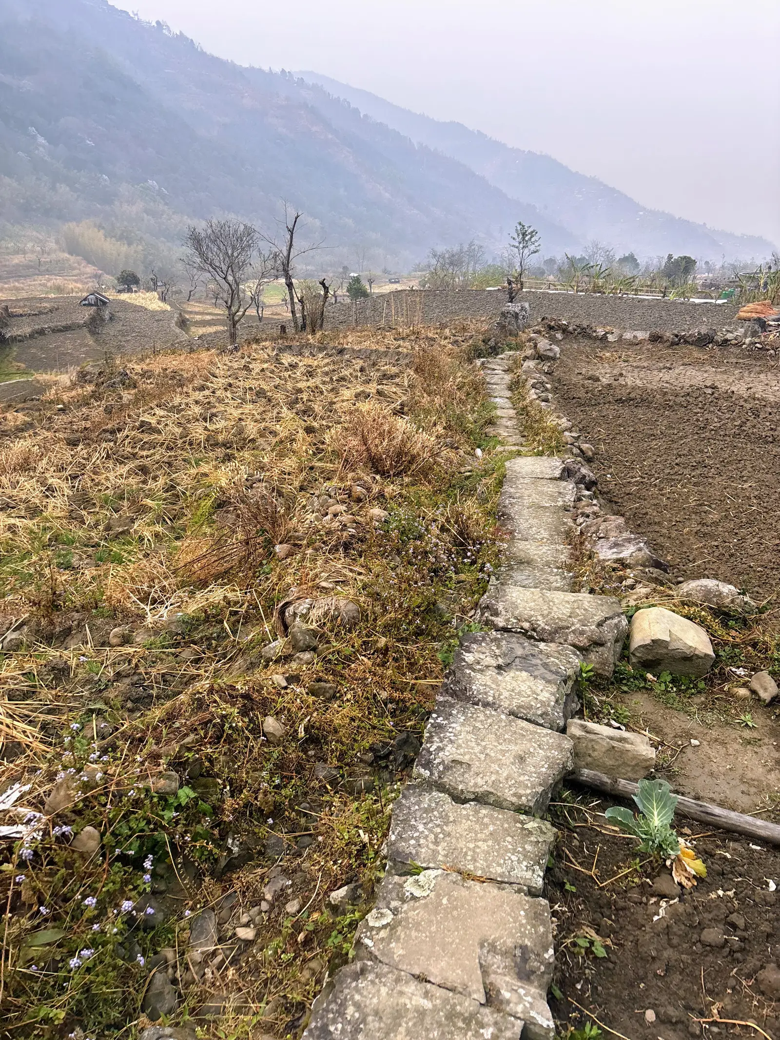 Ultra Trail Kohima trail photo 4-4