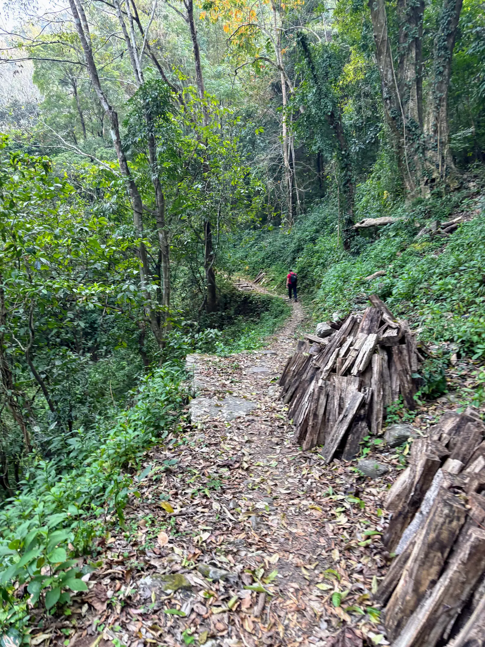 Ultra Trail Kohima trail