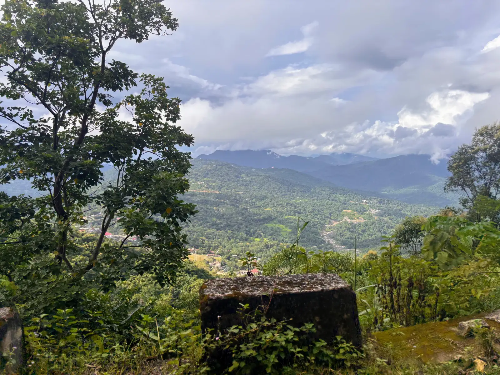 Ultra Trail Kohima trail photo 5-5